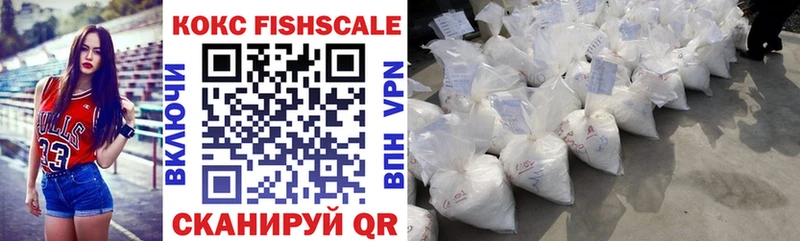 Cocaine Эквадор  Купить закладки  Верхняя Пышма 
