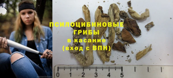 скорость Козловка