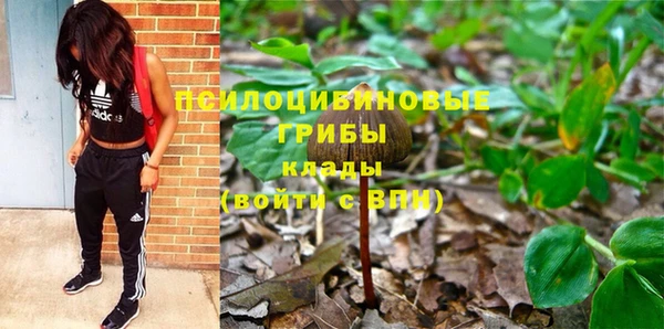 таблы Козельск
