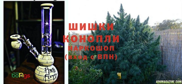 таблы Козельск