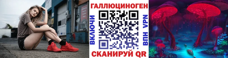 Псилоцибиновые грибы Cubensis  Купить закладки  Верхняя Пышма 